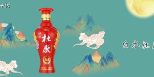 杜康是什么档次的酒？杜康好不好喝