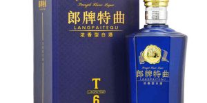 浓香白酒发酵工艺，清香型酿酒发酵池的正确方法?